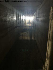 Hiking Diamon Head - Honolulu - Oahu