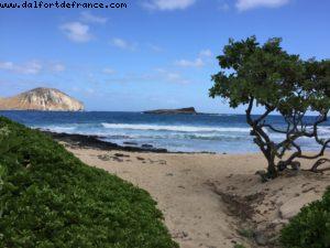 Makapu - Honolulu - Oahu