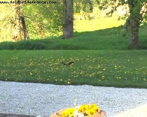 Chateau de Bignicourt sur saulx