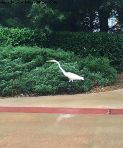 Boardwalk - Walt Disney World