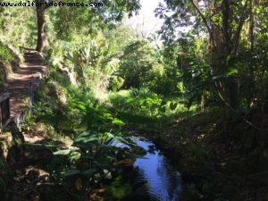 Randonnée - Honolulu