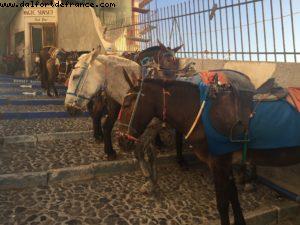 Fira - Our 53rd Atlantis Cruise (Celebrity equinox)