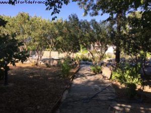 Mausoleum - Our 53rd Atlantis Cruise (Celebrity equinox)