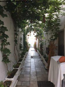 Bodrum - Our 53rd Atlantis Cruise (Celebrity equinox)