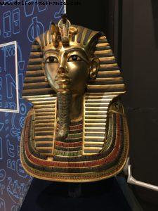 Bio Mediterraneum - Egypt (1338) - Expo - Milan