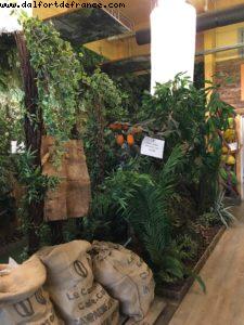 Chocolate and Cacao Cluster - Côte d'Ivoire (1418) - Expo - Milan