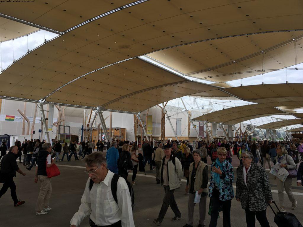 Chocolate and Cocoa Cluster (1524) - Expo - Milan