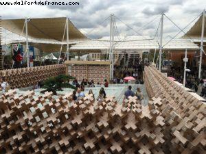 Japan (1458) - Expo - Milan