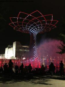 Tree of Life (1217) - Expo - Milan