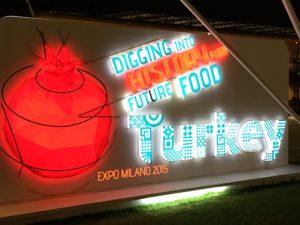Turkey (1236) - Expo - Milan