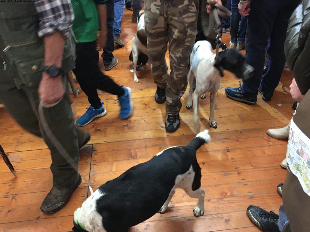 White Truffle Fair - Alba