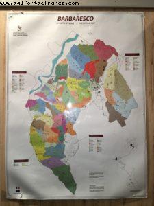 White Truffle Fair - Alba