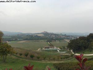Wine Tasting - Barolo