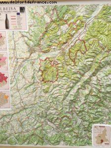 Wine Tasting - Barolo