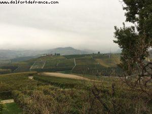 Palas Cerquio - La Morra