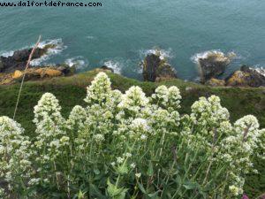 Hiking from Bray to Greystones