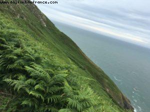 Hiking along the cliff - Howth