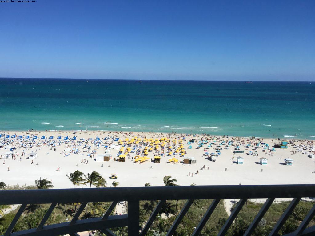 Afternoon View - Royal Palm Hotel - South Beach