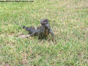 RIU Palace - Anse Marcel - St Marteen - French West Indies