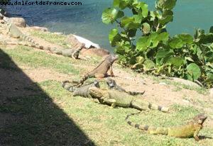 RIU Palace - Anse Marcel - St Marteen - French West Indies