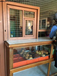 Castries - Our 55th Atlantis Cruise (Celebrity Summit)