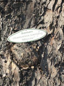 Castries - Our 55th Atlantis Cruise (Celebrity Summit)