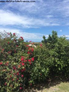 Tha Diamond - Our 55th Atlantis Cruise (Celebrity Summit)