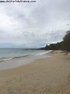 Petite Anse des Salines - Our 55th Atlantis Cruise (Celebrity Summit)