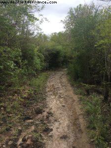 Chemin d'accès à la Petite Anse des Salines - Our 55th Atlantis Cruise (Celebrity Summit)