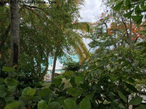 La Samana - St Marteen - French West Indies 