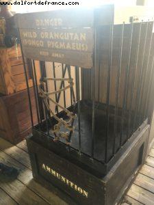 Gay Days @ Magic Kingdom - Walt Disney World