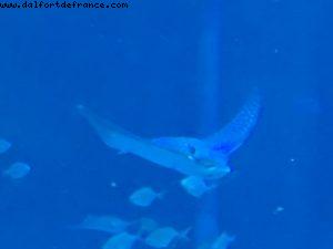 Epcot - Walt Disney World