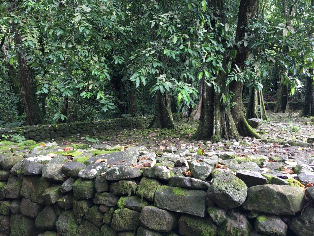 Driving around Moorea - Our 56th Atlantis cruise (Oceania Marina)