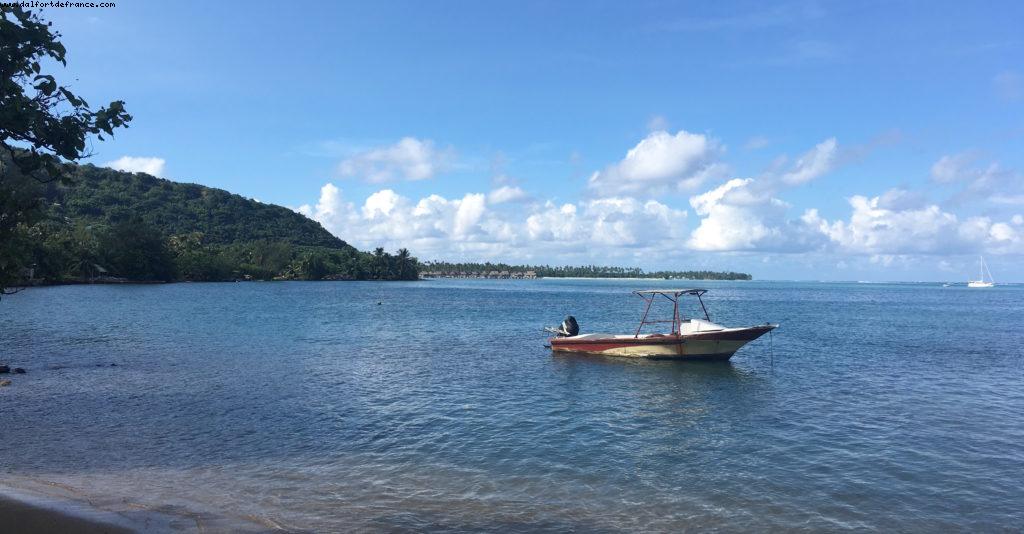 Driving around Moorea - Our 56th Atlantis cruise (Oceania Marina)