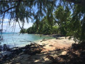 Rangiroa Tuamotu Island - Our 56th Atlantis cruise (Oceania Marina)