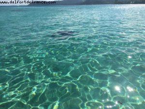 Snorkling in Bora Bora - Our 56th Atlantis cruise (Oceania Marina)