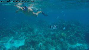 Snorkling in Bora Bora - Our 56th Atlantis cruise (Oceania Marina)