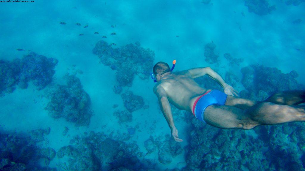 Snorkling in Bora Bora - Our 56th Atlantis cruise (Oceania Marina)