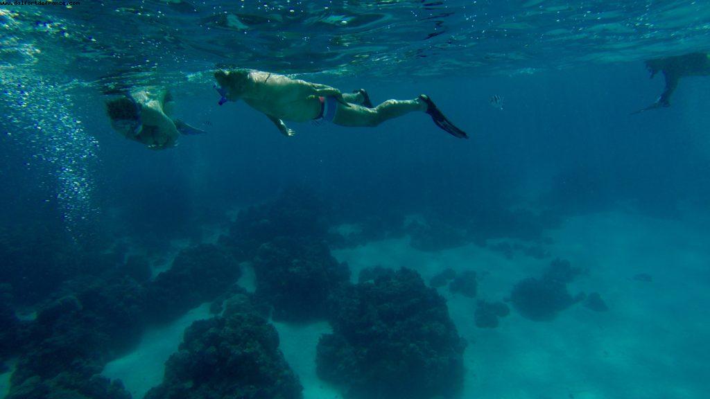 Snorkling in Bora Bora - Our 56th Atlantis cruise (Oceania Marina)