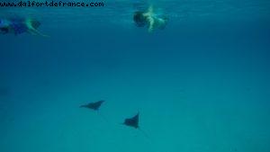 Snorkling in Bora Bora - Our 56th Atlantis cruise (Oceania Marina)