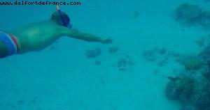 Snorkling in Bora Bora - Our 56th Atlantis cruise (Oceania Marina)