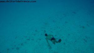 Snorkling in Bora Bora - Our 56th Atlantis cruise (Oceania Marina)
