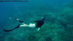 Snorkling in Bora Bora - Our 56th Atlantis cruise (Oceania Marina)