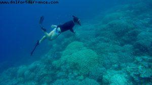 Snorkling in Bora Bora - Our 56th Atlantis cruise (Oceania Marina)