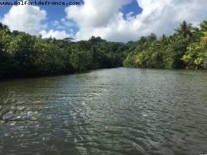 Sailing on river Faaroa, Raiatea - Our 56th Atlantis cruise (Oceania Marina)
