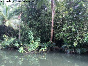 Sailing on river Faaroa