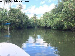 Sailing on river Faaroa