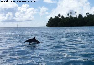 Raiatea - Our 56th Atlantis cruise (Oceania Marina)