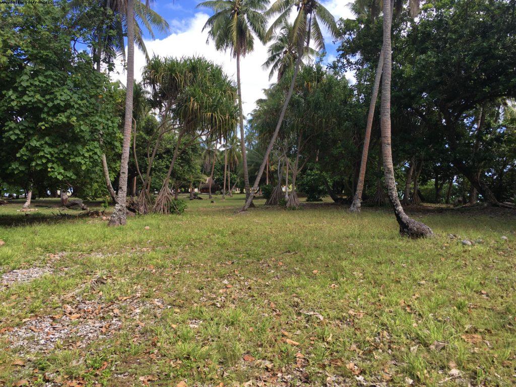 Motu - Our 56th Atlantis cruise (Oceania Marina)