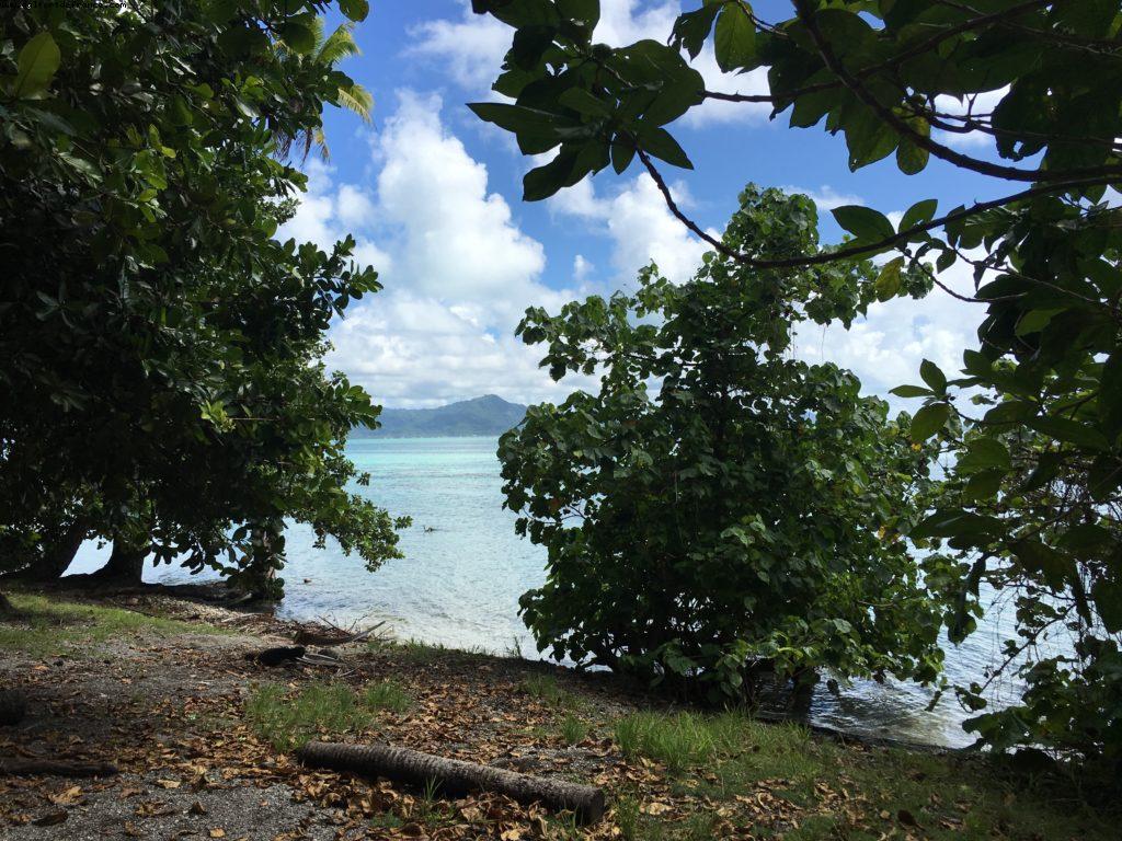 Motu - Our 56th Atlantis cruise (Oceania Marina)